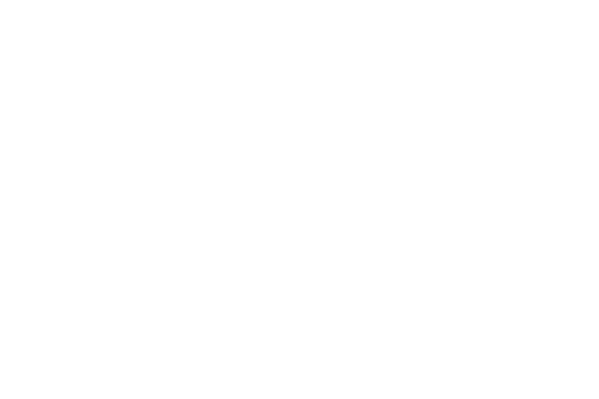 Wise Guy